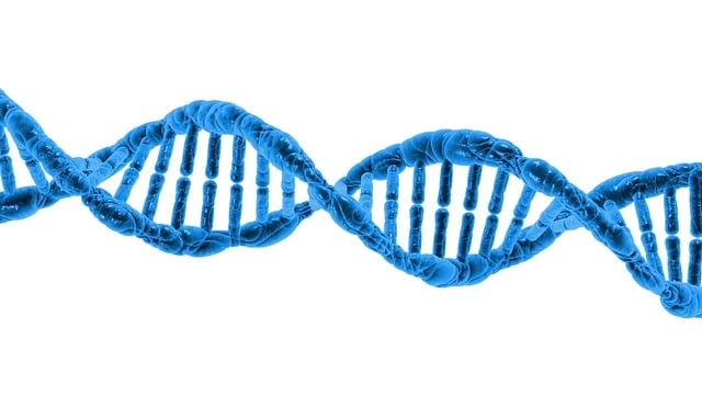 OXIDUL NITRIC – o moleculă pe care corpul tău o produce în mod natural